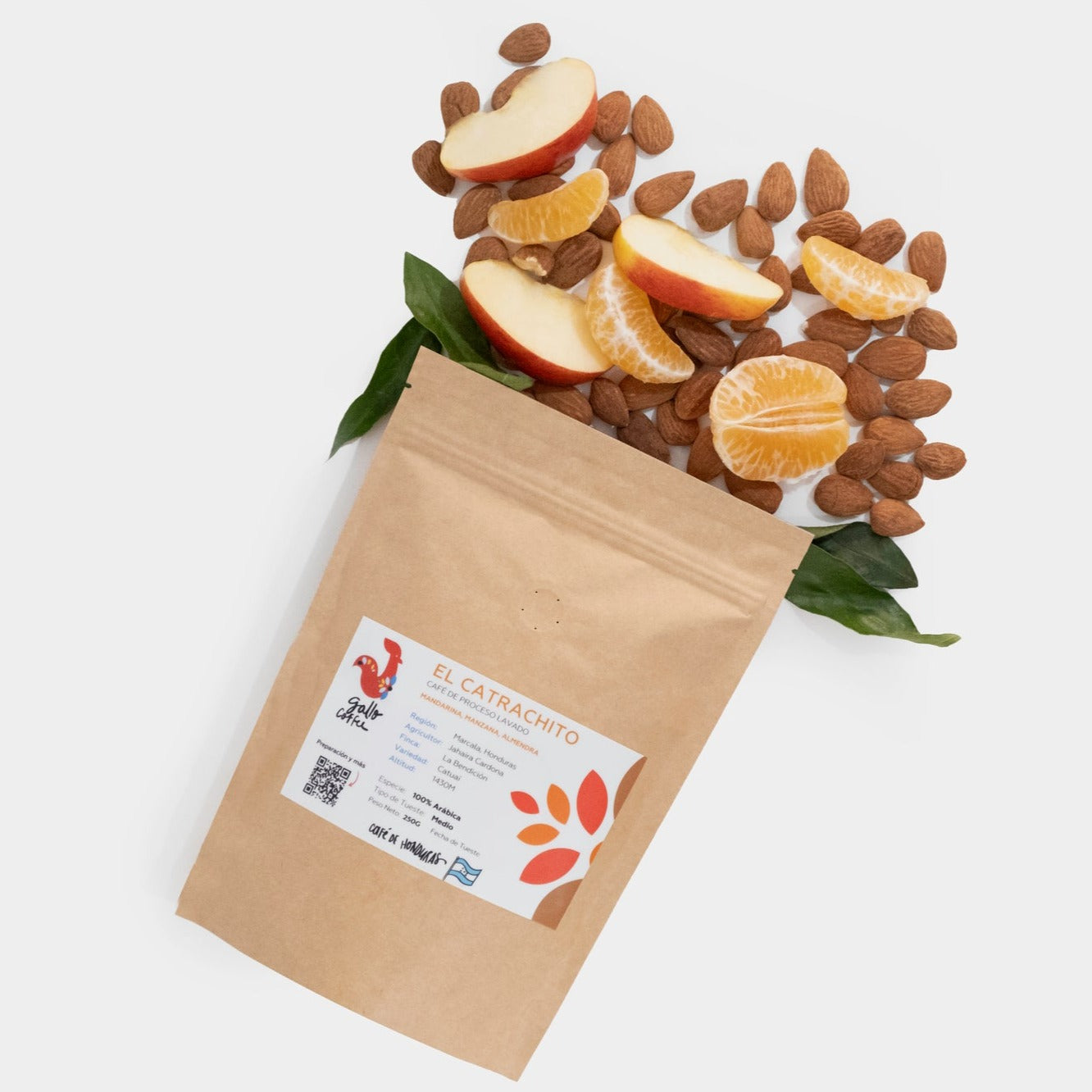 El Catrachito - café de proceso lavado