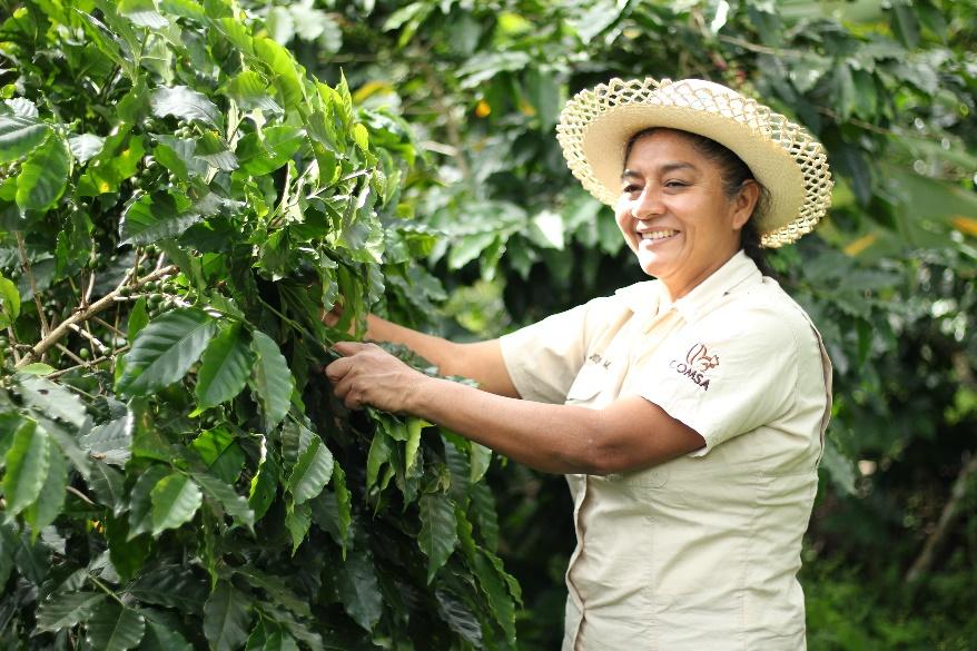 Finca Los Cascabeles_1 (1).jpg__PID:b8af8ce1-ba50-4053-9720-4085d02597f6