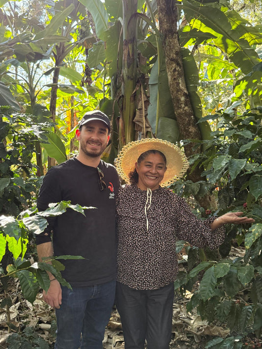 Enero 2026 en Gallo Coffee