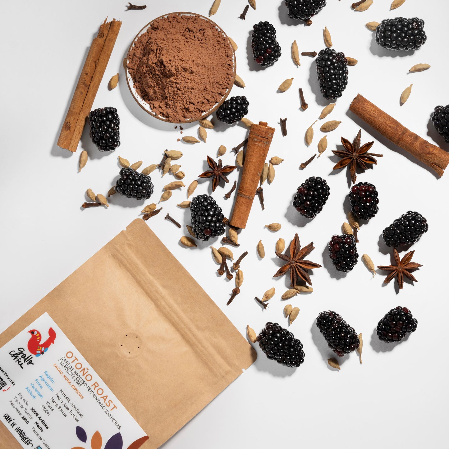 Café de Temporada: Otoño Roast