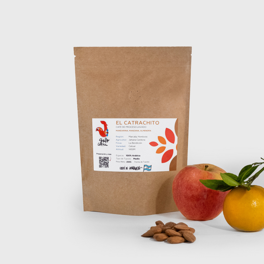 El Catrachito - café de proceso lavado